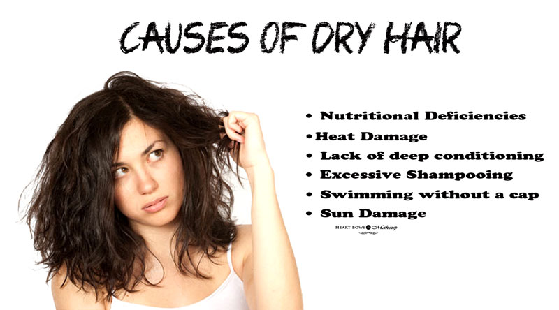 Como adicionar umidade em cabelos secos com dicas fáceis e eficazes?