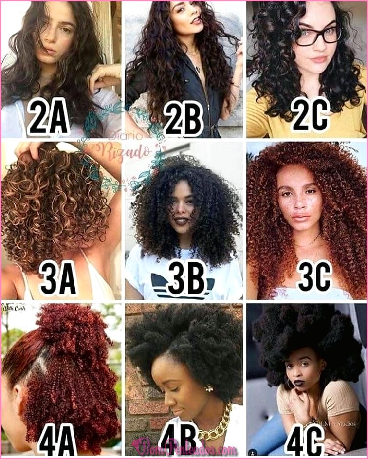 Os diferentes tipos de cabelo Miojo